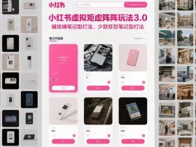 小红书虚拟矩阵玩法3.0，铺货铺笔记型打法，少款狂怼笔记型打法