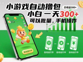 小游戏自动撸包，小白一天300+，可以批量，手机操作【揭秘】