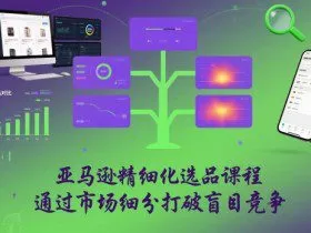 亚马逊精细化选品课程，通过市场细分打破盲目竞争