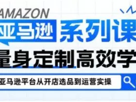 亚马逊新手开店从入门到精通，全面覆盖亚马逊开店各阶段要点，助新手从入门到精通