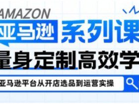 亚马逊新手开店从入门到精通，全面覆盖亚马逊开店各阶段要点，助新手从入门到精通