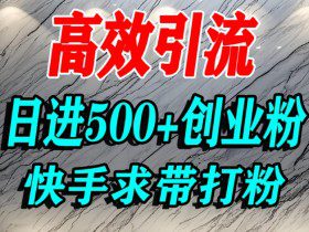 怎么打创业粉？快手求带视角精准引流创业粉，宝妈、学生群体日进500+精准流量