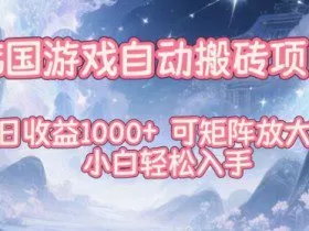 韩国游戏自动搬砖项目，日收益1k+，可矩阵放大，小白轻松入手【揭秘】