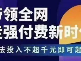 王校长拼多多无限活动流，带领全网走强付费新时代，玩法投入不超千元即可起店