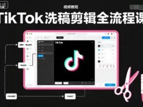 TikTok洗稿剪辑全流程课，PR洗稿剪辑全流程，TK洗稿运营课