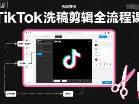 TikTok洗稿剪辑全流程课,PR洗稿剪辑全流程,TK洗稿运营课
