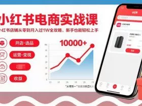 小红书电商实战课，小红书店铺从零到月入过1W全攻略，新手也能轻松上手
