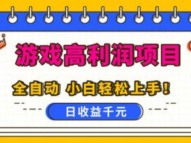 游戏高利润项目，日收益1k+，全自动，无需值守，解放双手，小白轻松上手【揭秘】