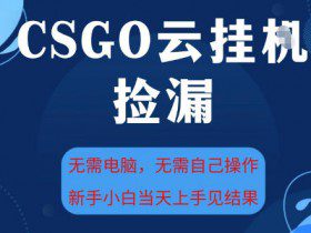 CSGO云挂G全自动捡漏，最新独家玩法，无需电脑操作，新手小白日入5张+【揭秘】