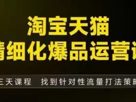 淘宝天猫精细化爆品运营（9月12-14杭州线下课），全方位拆解爆品打造逻辑【音频+字幕+文档】