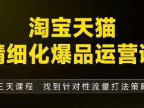 淘宝天猫精细化爆品运营（9月12-14杭州线下课），全方位拆解爆品打造逻辑【音频+字幕+文档】