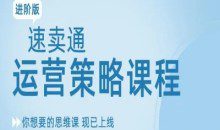 跨境电商速卖通教程视频录制进阶运营策略爆款打造方案与技巧课程劳伦斯跨境