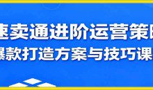 速卖通进阶运营策略,爆款打造方案与技巧课程