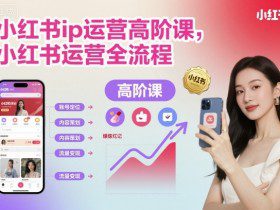 小红书ip运营高阶课，小红书运营全流程