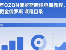 2025年OZON俄罗斯跨境电商教程，0基础掘金俄罗斯