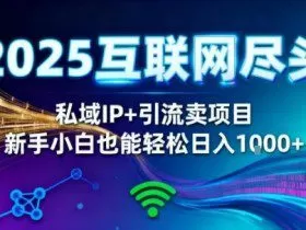 2025网创尽头王炸项目！私域IP+精准引流，新手小白在家躺賺日入1k，零经验也能上手【揭秘】