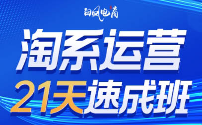 白凤电商·淘系运营21天速成班(更新11月)0基础淘系运营课