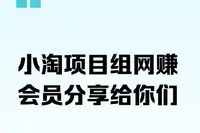 小淘项目组网赚永久会员课价格几千(更新12月)