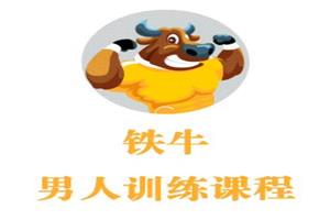 铁牛会员课程合集 铁牛延时训练法