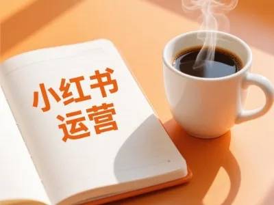 向阳小红书运营课 网络营销综合课