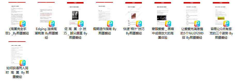 李熙墨-D系列 高巢指南 电子书