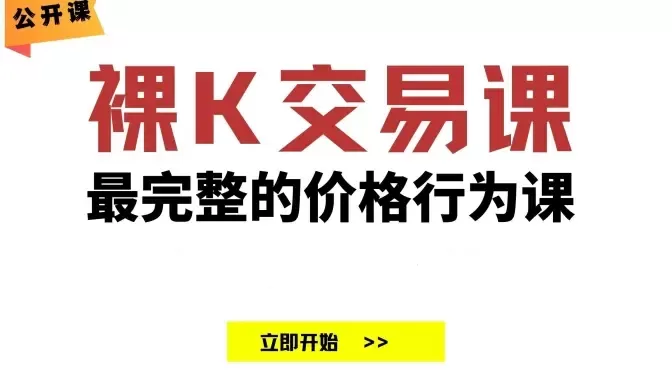 TRADER K|老K 裸K交易课价格行为交易思路策略公开课18节 成为合格的交…