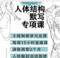 衍知行人体结构默写专项课【画质高清只有视频】