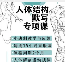 衍知行人体结构默写专项课【画质高清只有视频】
