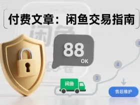 付费文章：闲鱼交易指南，怎么才能降低被坑被马扁的概率