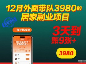12月外面带队3980的居家副业项目，一部手机实测3天到账9张+，首发教程【揭秘】