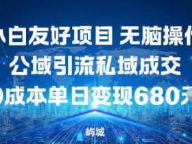 小白友好项目，无脑操作，公域引流私域成交，0成本单日变现680米