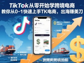 TikTok从零开始学跨境电商，教你从0-1快速上手TK电商，出海賺美刀