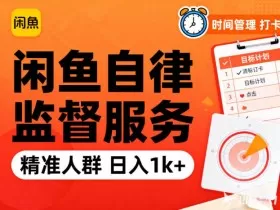 闲鱼卖自律监督服务，人群精准，每天1k+纯利润