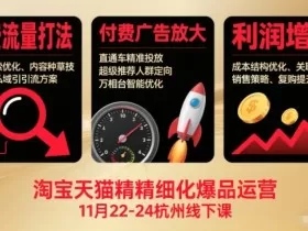 淘宝天猫精细化爆品运营11月22-24杭州线下课，免费流量打法+付费广告放大+利润增长（音频+文档）