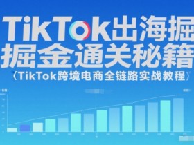 TikTok出海掘金通关秘籍，TikTok跨境电商全链路实战教程