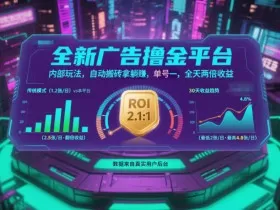 全新广告撸金平台，内部玩法，自动搬砖拿躺賺，单号一天保底2张+，全天两倍收益【揭秘】