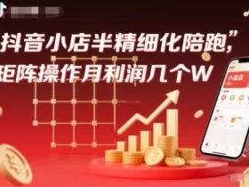 抖店半精细化铺货【1期+2期】，抖音小店半精细化陪跑，矩阵操作月利润几个W（更新12月）