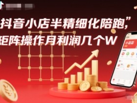 抖店半精细化铺货【1期+2期】，抖音小店半精细化陪跑，矩阵操作月利润几个W（更新12月）