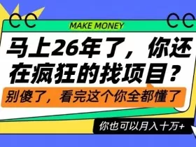 26年了，不要再疯狂的找项目了，看完这个你也可以月入十个W【揭秘】