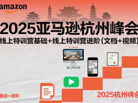 2025亚马逊杭州峰会，线上特训营基础+线上特训营进阶（文档+视频）