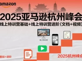2025亚马逊杭州峰会,线上特训营基础+线上特训营进阶(文档+视频)