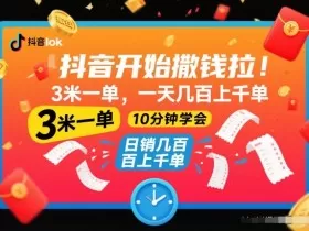 抖音开始撒钱拉，3米一单，一天几百上千单，项目简单，10分钟学会【揭秘】
