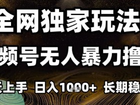 年底最新独家视频号无人直播撸礼物，小白也能轻松日入1k+，长期稳定，可批量复制【揭秘】