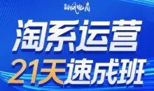白凤电商·淘系运营21天速成班（更新11月）0基础淘系运营课