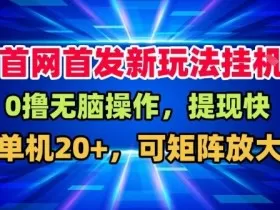全网首发挂G，盒子自动賺米，单机20+，可矩阵放大，长期稳定运营【揭秘】