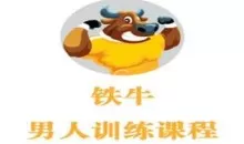 铁牛会员课程合集 铁牛延时训练法