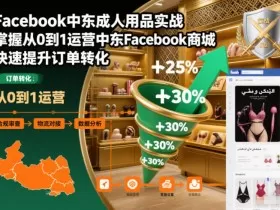 Facebook中东成人用品实战，掌握从0到1运营中东Facebook商城，快速提升订单转化