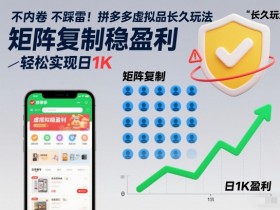 不内卷不踩雷！拼多多虚拟品长久玩法，矩阵复制稳盈利，轻松实现日1K【揭秘】