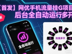 【首发】网优手机流量挂G项目,后台全自动运行,可无限批量多开【揭秘】