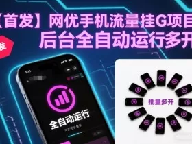 【首发】网优手机流量挂G项目，后台全自动运行，可无限批量多开【揭秘】